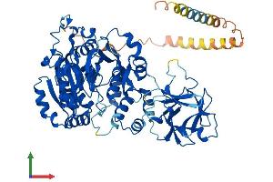 Protein Structure (PS) image for UDP-N-Acetyl-alpha-D-Galactosamine:polypeptide N-Acetylgalactosaminyltransferase 6 (GalNAc-T6) (GALNT6) (AA 1-622) protein (His tag) (ABIN7559189)