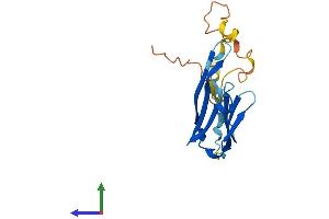 Protein Structure (PS) image for Crystallin, alpha B (CRYAB) (AA 1-175) protein (His tag) (ABIN7562991)