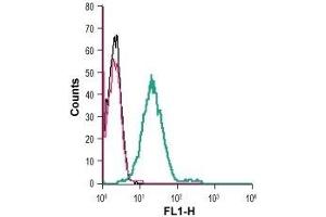 Cell surface detection of GPER1 in live intact human THP-1 monocytic leukemia cells: (black line) Cells. (Mesothelin 抗体  (Extracellular))