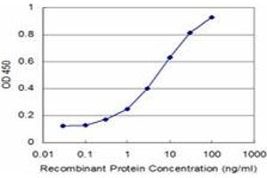 Detection limit for recombinant GST tagged DOCK4 is approximately 0. (DOCK4 抗体  (AA 1867-1966))