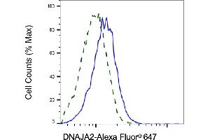 Validation of DNAJA2 knockdown using flow cytometry.
