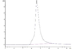 Size-exclusion chromatography-High Pressure Liquid Chromatography (SEC-HPLC) image for Sialic Acid Binding Ig-Like Lectin 15 (SIGLEC15) (AA 60-322) protein (His-Avi Tag) (ABIN7275584)