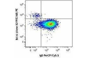 Flow Cytometry (FACS) image for anti-B-Cell CLL/lymphoma 6 (BCL6) antibody (PE) (ABIN2662400) (BCL6 抗体  (PE))