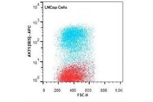 Flow Cytometry (FACS) image for anti-V-Akt Murine Thymoma Viral Oncogene Homolog 1 (AKT1) (Internal Region) antibody (ABIN1607687)
