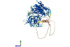AlphaFold protein structure predicition of Human Recombinant PRKCE Protein, UniprotID Q02156