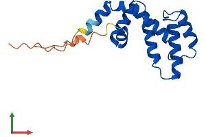 AlphaFold protein structure predicition of Human Recombinant RGS21 Protein, UniprotID Q2M5E4