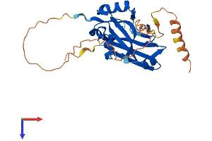AlphaFold protein structure predicition of Human Recombinant SIAH3 Protein, UniprotID Q8IW03 (SIAH3 Protein (AA 1-269) (His tag))