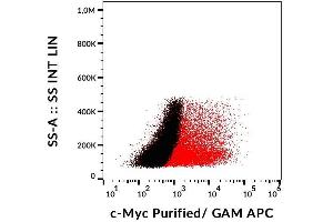 Detection of transfected LST-1-c-Myc in HEK-293 cells (red) compared with nontransfected HEK-293 cells (black) using mouse monoclonal anti-c-Myc (9E10) purified, GAM-APC. (Myc Tag 抗体  (C-Term))
