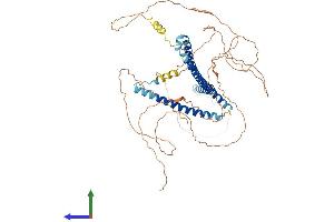 Protein Structure (PS) image for Nucleoporin Like 1 (NUPL1) (AA 1-587) protein (His tag) (ABIN7559723)
