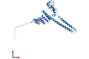 Protein Structure (PS) image for STIP1 Homology and U-Box Containing Protein 1 (STUB1) (AA 1-303) protein (His tag) (ABIN7553478)