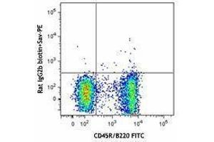 Flow Cytometry (FACS) image for anti-Chemokine (C-X-C Motif) Receptor 5 (CXCR5) antibody (Biotin) (ABIN2660750) (CXCR5 抗体  (Biotin))