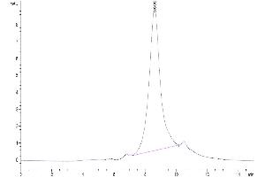 Size-exclusion chromatography-High Pressure Liquid Chromatography (SEC-HPLC) image for delta Like Protein 3 (DLL3) (AA 27-477) protein (His tag) (ABIN7274480)