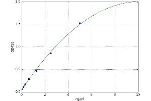 Claudin 4 (CLDN4) ELISA Kit