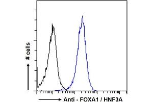 ABIN185021 Flow cytometric analysis of paraformaldehyde fixed MCF7 cells (blue line), permeabilized with 0. (FOXA1 抗体  (C-Term))