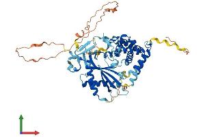 Protein Structure (PS) image for Transmembrane Protein 102 (TMEM102) (AA 1-509) protein (His tag) (ABIN7557254)