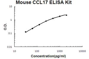 Mouse CCL17/TARC Accusignal ELISA Kit Mouse CCL17/TARC AccuSignal ELISA Kit standard curve.