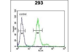 ADTS18 Antibody (C-term) (ABIN652853 and ABIN2842553) flow cytometric analysis of 293 cells (right histogr) compared to a negative control cell (left histogr). (ADAMTS18 抗体  (C-Term))