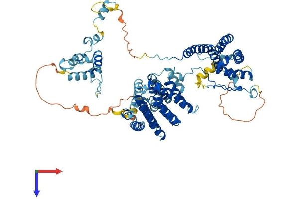 THOC1 Protein (AA 1-657) (His tag)