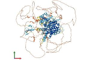 Protein Structure (PS) image for RAD54-Like 2 (RAD54L2) (AA 1-1467) protein (His tag) (ABIN7552334)