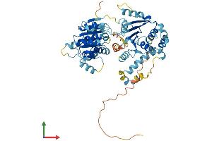 Protein Structure (PS) image for DEAD (Asp-Glu-Ala-Asp) Box Polypeptide 56 (DDX56) (AA 1-547) protein (His tag) (ABIN7547051)