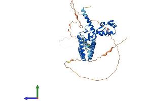 Protein Structure (PS) image for SWI/SNF Related, Matrix Associated, Actin Dependent Regulator of Chromatin, Subfamily D, Member 2 (SMARCD2) (AA 1-531) protein (His tag) (ABIN7546325)