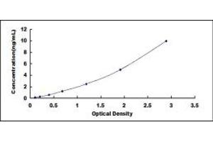 Typical standard curve (ITGA9 ELISA 试剂盒)