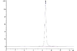 Size-exclusion chromatography-High Pressure Liquid Chromatography (SEC-HPLC) image for Interleukin 2 Receptor, beta (IL2RB) (AA 27-239) protein (His-Avi Tag) (ABIN7274076)