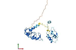 Protein Structure (PS) image for Ring Finger Protein 114 (RNF114) (AA 1-228) protein (His tag) (ABIN7551447)