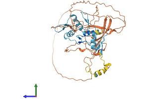 Protein Structure (PS) image for YY1 Transcription Factor (YY1) (AA 1-414) protein (His tag) (ABIN7563575)