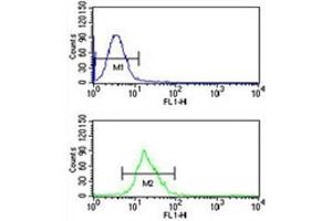 Integrin beta 3 antibody flow cytometric analysis of CEM cells (bottom histogram) compared to a negative control (top histogram).
