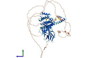 Protein Structure (PS) image for Golgi-Associated, gamma Adaptin Ear Containing, ARF Binding Protein 3 (GGA3) (AA 1-718) protein (His tag) (ABIN7558768)