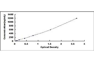 Typical standard curve (Clusterin ELISA 试剂盒)