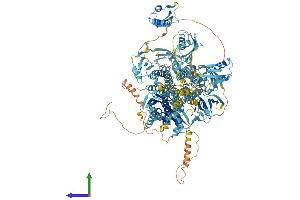 AlphaFold protein structure predicition of Mouse Recombinant Atp7a Protein, UniprotID Q64430