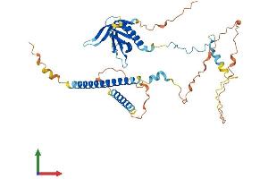 Protein Structure (PS) image for Pleckstrin Homology Domain Containing, Family O Member 1 (PLEKHO1) (AA 1-408) protein (His tag) (ABIN7565094)