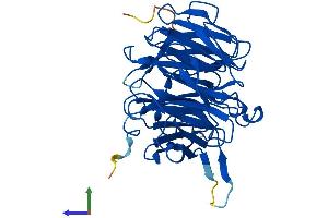 Protein Structure (PS) image for RAE1 RNA Export 1 Homolog (S. Pombe) (RAE1) (AA 1-368) protein (His tag) (ABIN7551146)