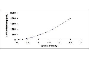 Typical standard curve (REG3g ELISA 试剂盒)