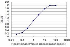 Detection limit for recombinant GST tagged SMG1 is approximately 0. (SMG1 抗体  (AA 2922-3031))