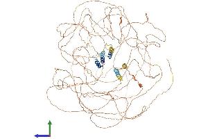 Protein Structure (PS) image for Treacher Collins-Franceschetti Syndrome 1 (TCOF1) (AA 1-1320) protein (His tag) (ABIN7562201)