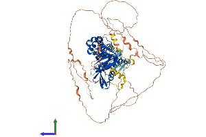 Protein Structure (PS) image for FERM Domain Containing 7 (FRMD7) (AA 1-714) protein (His tag) (ABIN7547784)