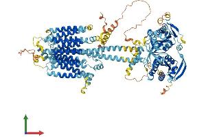 Protein Structure (PS) image for Adenylate Cyclase 4 (ADCY4) (AA 1-1077) protein (His tag) (ABIN7564798)