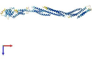 SESTD1 Protein (AA 1-696) (His tag)