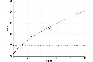 Oxytocin Receptor (OXTR) ELISA Kit