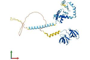 Protein Structure (PS) image for KIN, Antigenic Determinant of RecA Protein Homolog (KIN) (AA 1-393) protein (His tag) (ABIN7554290)