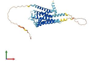 AlphaFold protein structure predicition of Mouse Recombinant Htr5b Protein, UniprotID P31387