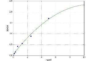 A typical standard curve (CDKN3 ELISA 试剂盒)