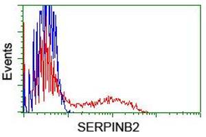 HEK293T cells transfected with either RC203139 overexpress plasmid (Red) or empty vector control plasmid (Blue) were immunostained by anti-SERPINB2 antibody (ABIN2455360), and then analyzed by flow cytometry. (SERPINB2 抗体)
