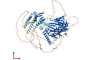 Protein Structure (PS) image for Oxysterol Binding Protein-Like 10 (OSBPL10) (AA 1-764) protein (His tag) (ABIN7554860)