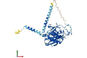 AlphaFold protein structure predicition of Human Recombinant B4GALT6 Protein, UniprotID Q9UBX8