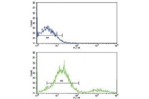 Flow cytometric analysis of ZR-75-1 cells using MCL1 antibody (green) compared to a negative control (blue). (MCL-1 抗体  (AA 191-226))
