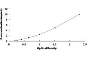 Typical standard curve (SCNN1A ELISA 试剂盒)